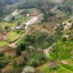 Terreno Rústico, Ilha da Madeira, Santa Cruz