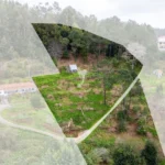 Terreno Rústico, Ilha da Madeira, Santa Cruz