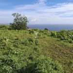 Lote de Terreno, Ilha da Madeira, Santa Cruz