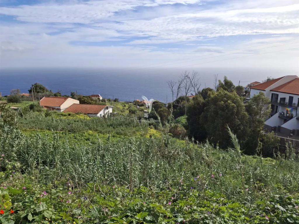 Lote de Terreno, Ilha da Madeira, Santa Cruz