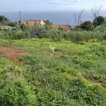 Lote de Terreno, Ilha da Madeira, Santa Cruz