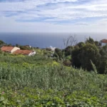 Lote de Terreno, Ilha da Madeira, Santa Cruz