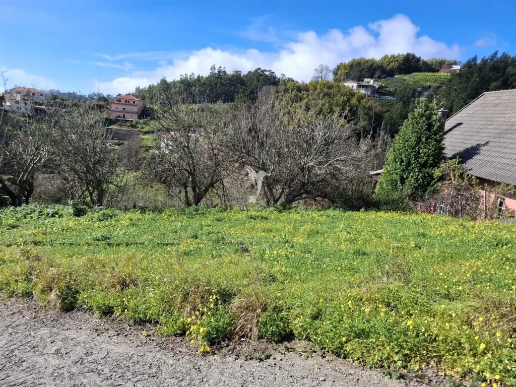Lote de Terreno, Ilha da Madeira, Santa Cruz