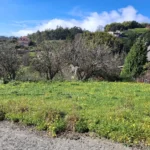 Lote de Terreno, Ilha da Madeira, Santa Cruz