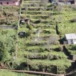 Lote de Terreno, Ilha da Madeira, Santa Cruz