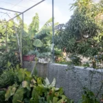 Moradia Isolada com terreno no Funchal - Ilha da Madeira