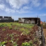 Moradia para Restaurar T3, Ilha da Madeira, Calheta (Madeira)