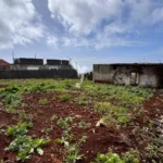 Moradia para Restaurar T3, Ilha da Madeira, Calheta (Madeira)