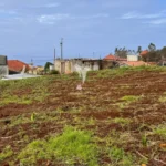Moradia para Restaurar T3, Ilha da Madeira, Calheta (Madeira)