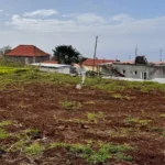 Moradia para Restaurar T3, Ilha da Madeira, Calheta (Madeira)