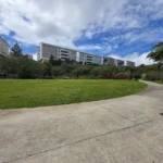 Apartamento T3, Ilha da Madeira, Funchal