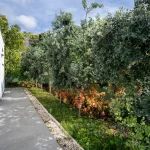 Moradia T3, Ilha da Madeira, Calheta (Madeira)