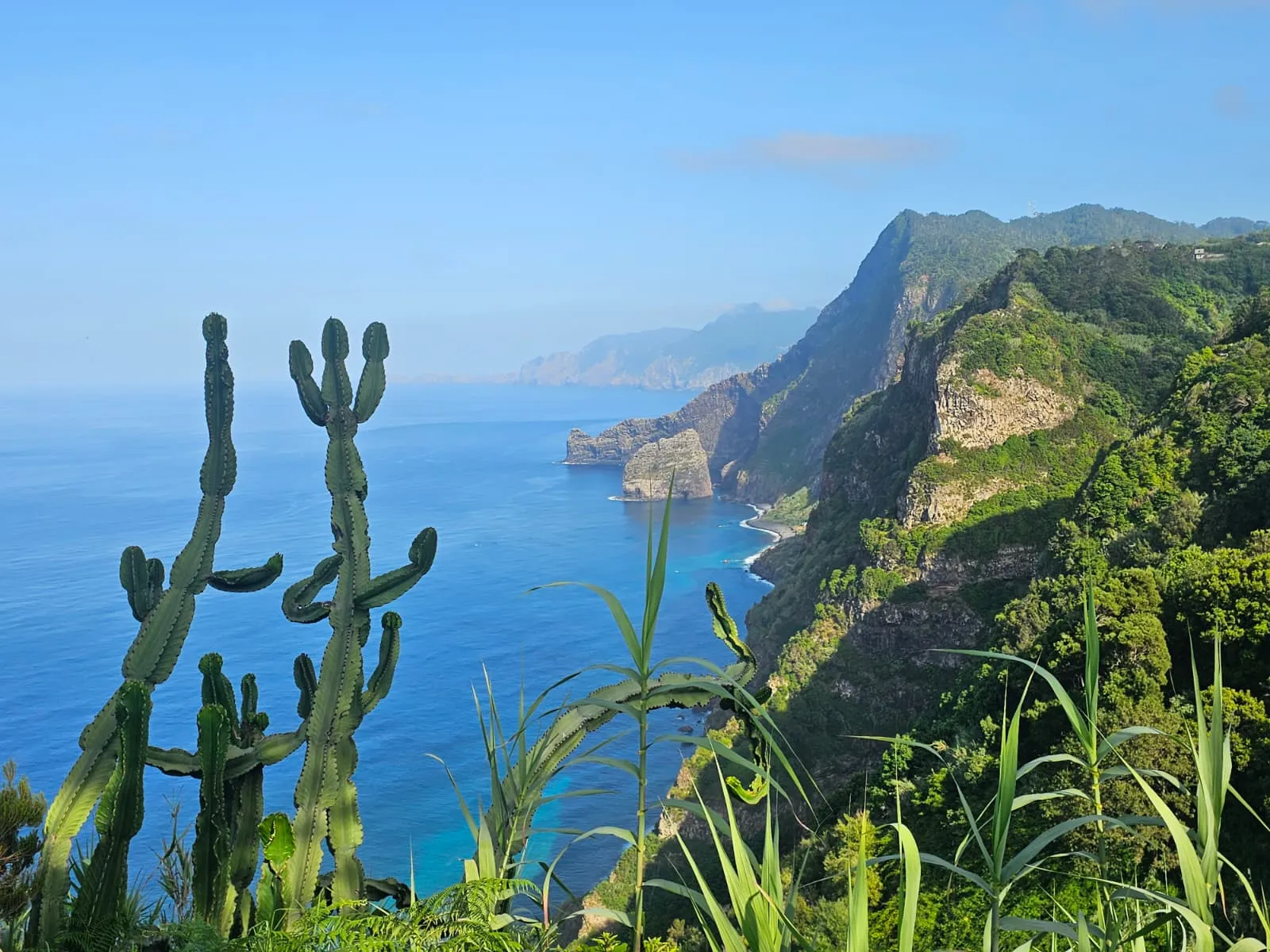 Madeira's green north coast above the blue sea