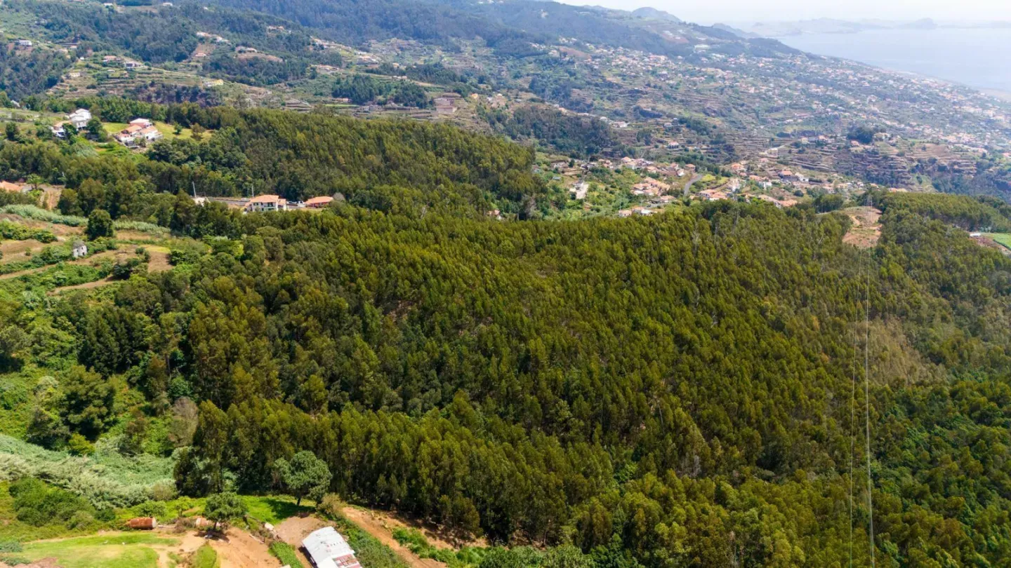 nzbctv0gwkk37g6b402wcm