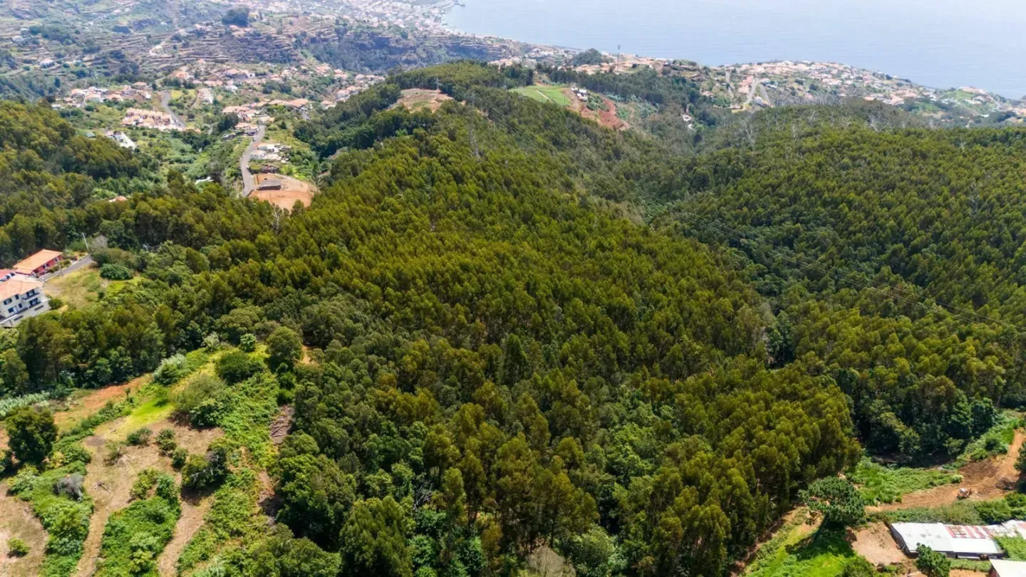 o1b329gys90d2ygz4qquh