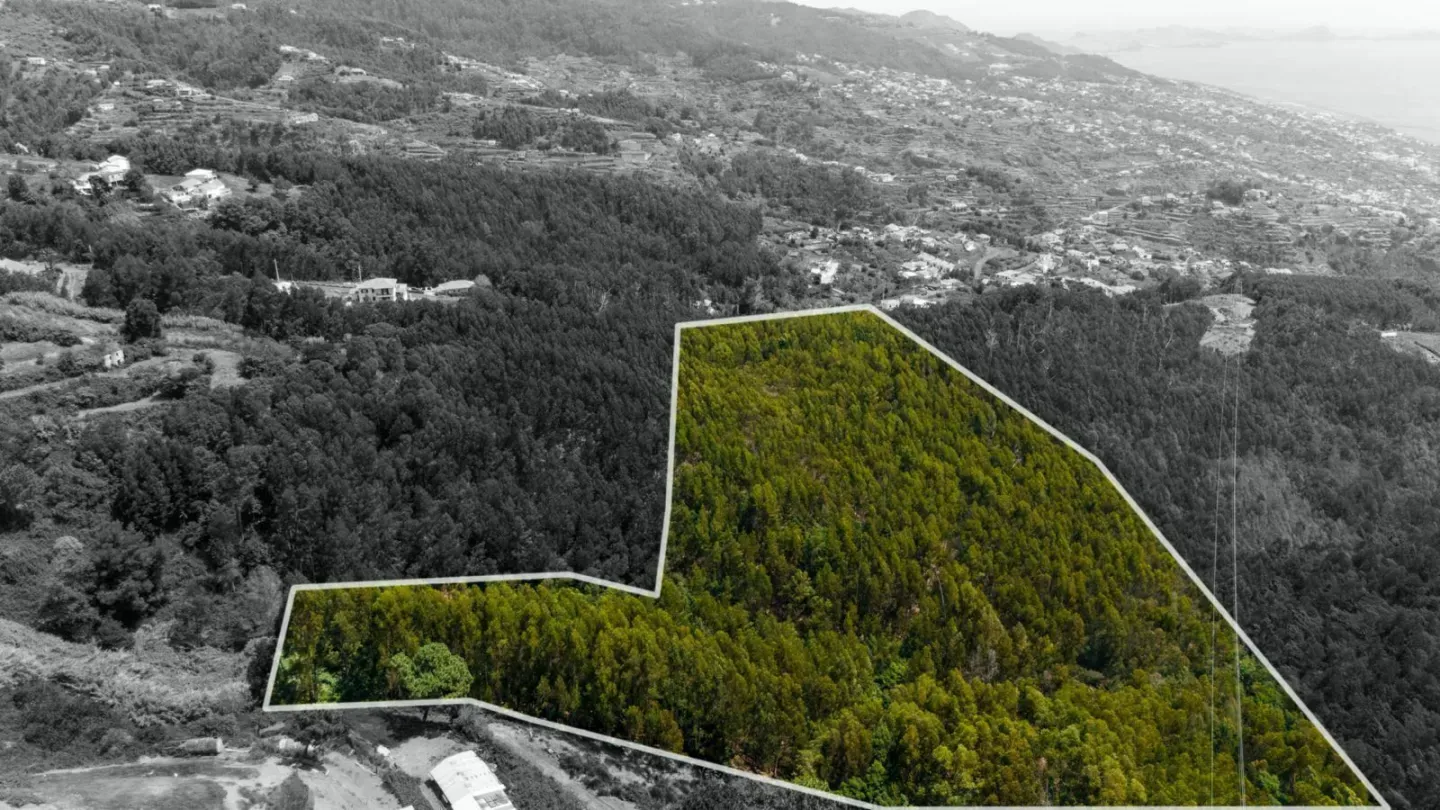 oliaqv5p44hyqbx8it15b