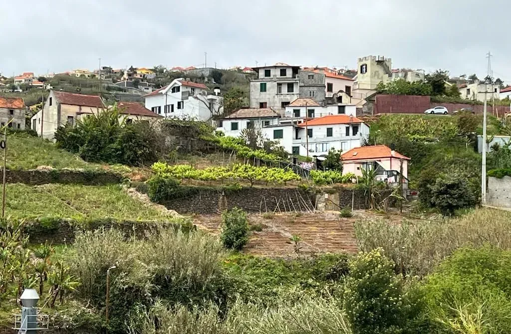 55zt3o5x82arnuqd9bvvk