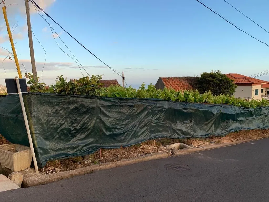 6vs898s8q36ccnq0q1v7qb