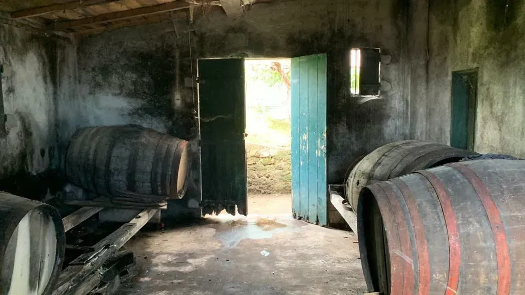 ajxz4yaair7o5uwyzt7fz