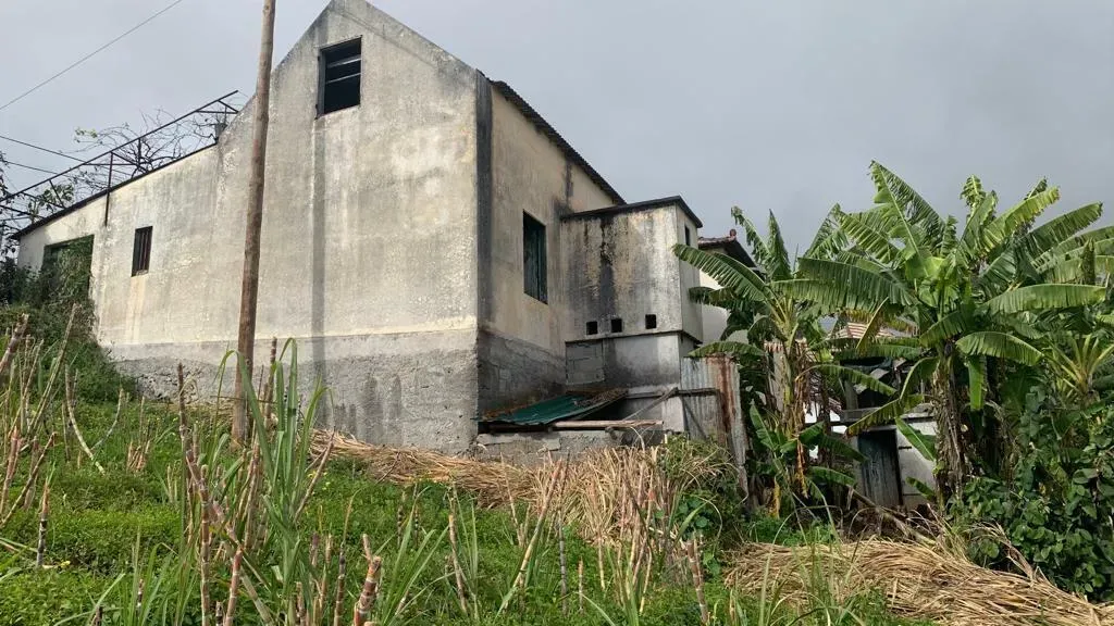 opauwq89tjpz1c7ne89ac