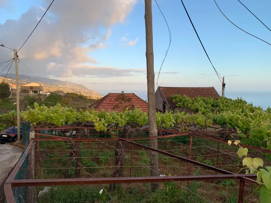 q1y855qd8rajm4fd8rfr8