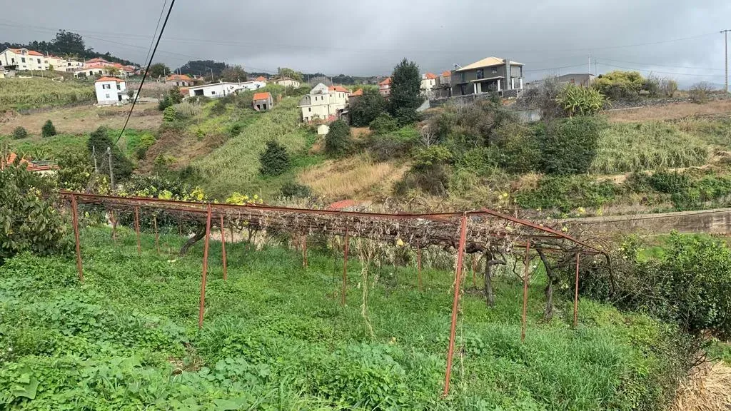 zey8zgyquzoht1c0juucc